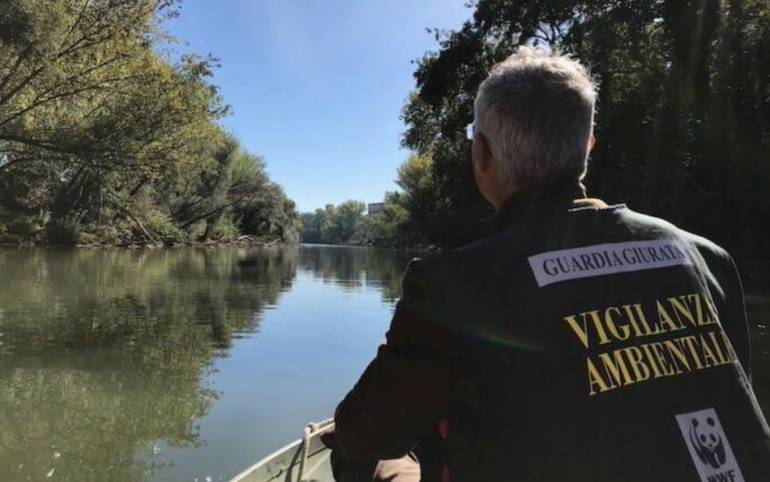Denunciati 12 bracconieri in Campania: anche l’imprendibile “Freccia nera” di Ischia
