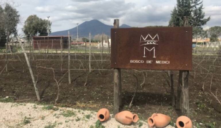 Pompei, una giornata particolare nel nome di Innocenzo dell’Osso