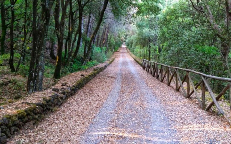 Il Parco Nazionale del Vesuvio ottiene la Carta Europea per il Turismo Sostenibile nelle aree protette