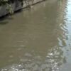 inquinamento fiume sarno