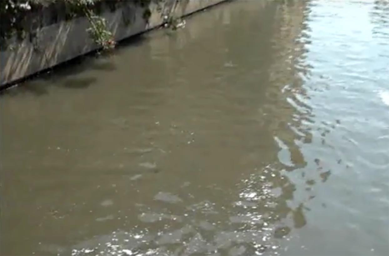 Controlli inquinamento fiume Sarno, sequestrati fitofarmaci.
