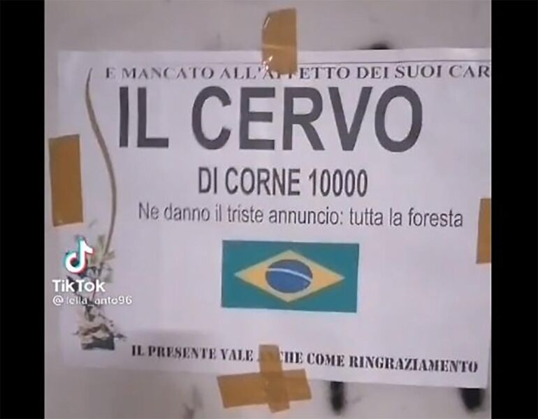 Napoli, è corsa al Lotto per il manifesto funebre del “Cervo di corne”