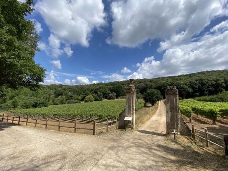 Reggia Caserta, il vino della Vigna reale al Vinitaly