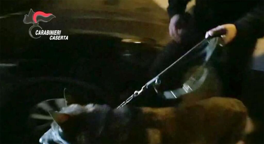 Acquistavano droga a Castel Volturno e poi lo rivendevano a Caserta e Salerno: 11 arresti