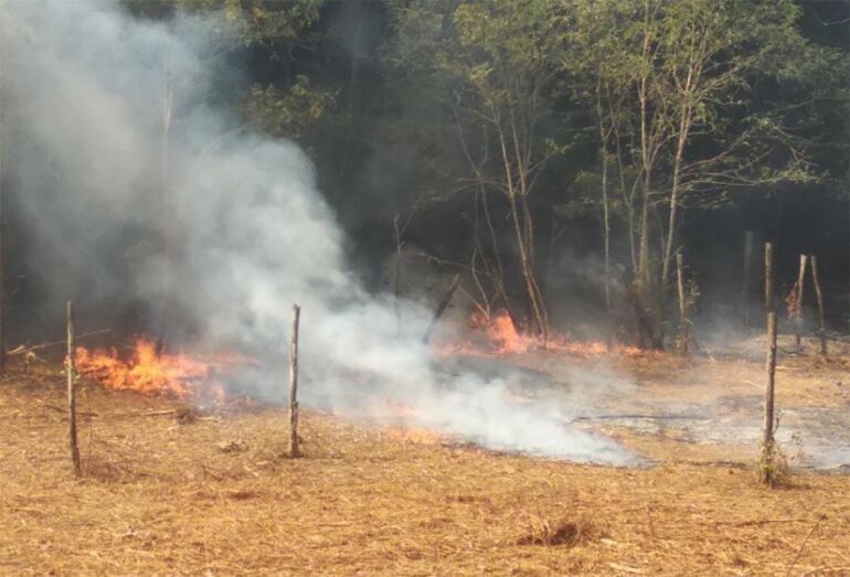 Caserta, appiccano incendio nel bosco denunciati dalla Forestale