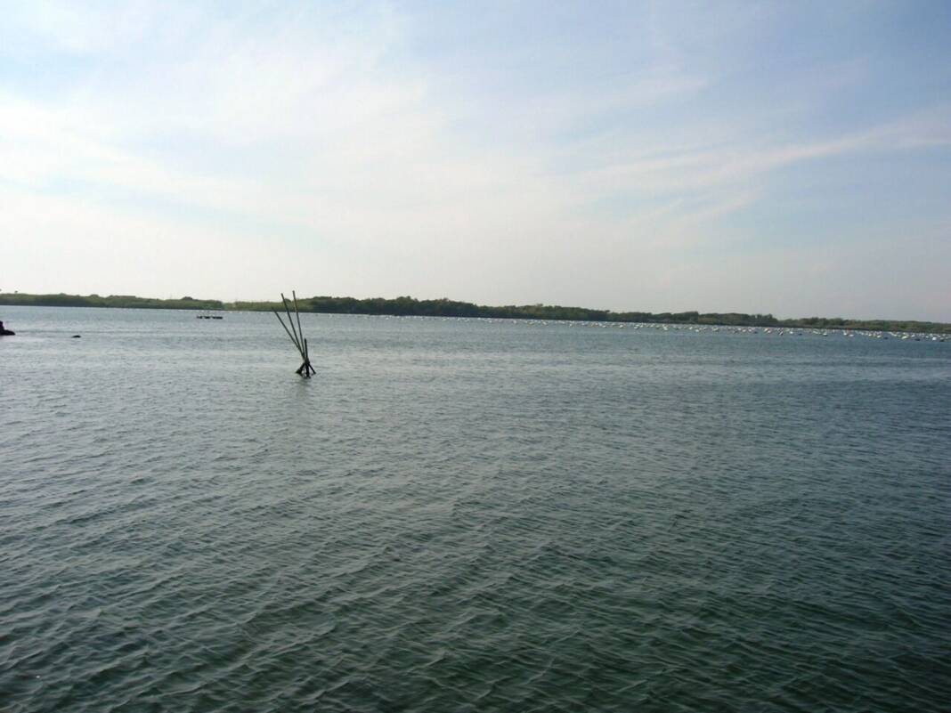 bacoli pesca di fordo lago fusaro (1)