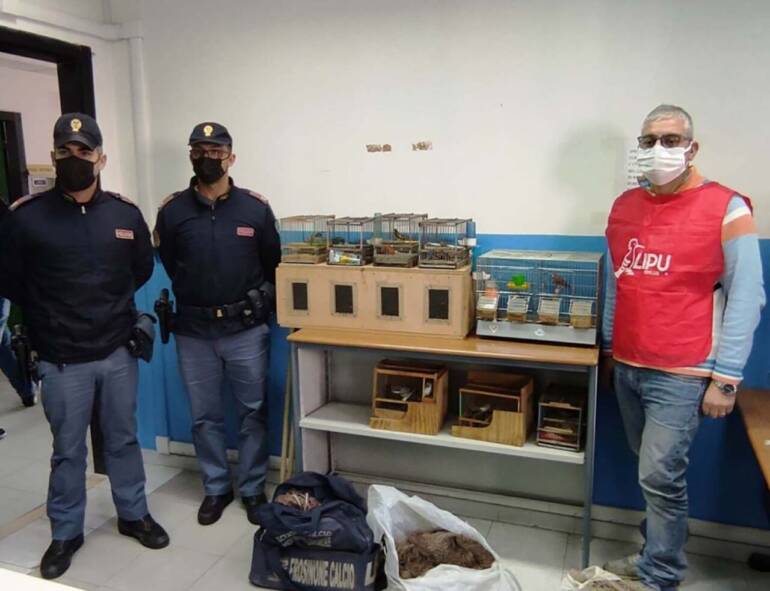 Boscotrecase, aveva uccelli di specie protetta: denunciato