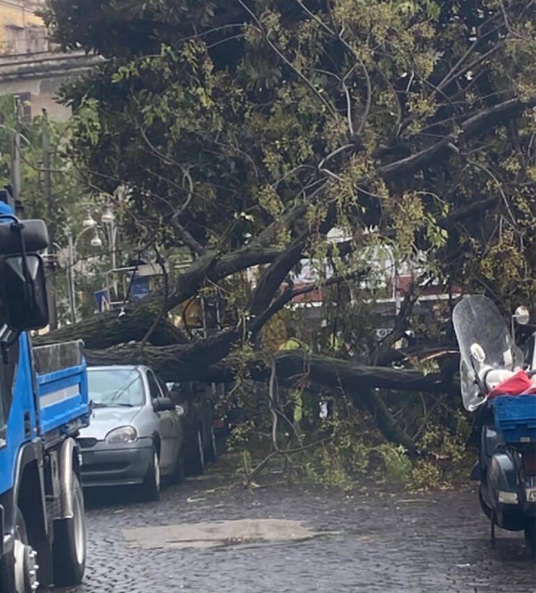 Napoli, albero cade su auto in sosta in piazza Cavour