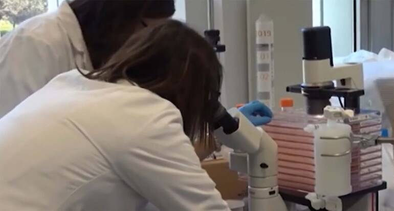 Variante omicron, a Caserta nessun altro caso: in Dad le classi dei figli del manager