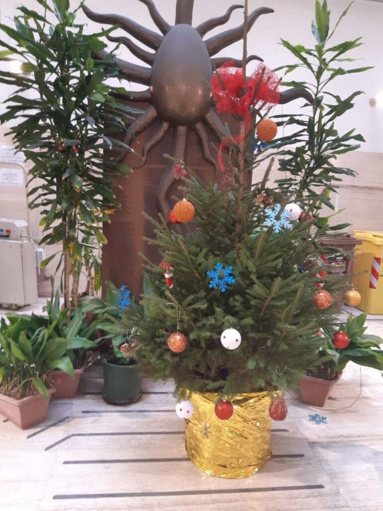 Sostituito l’albero di Natale rubato dalla sede del Consiglio Comune di Napoli