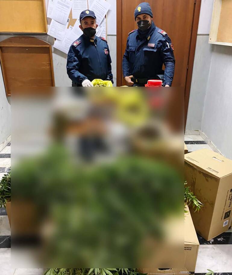 Pomigliano, scoperta una serra di marijuana: 2 arresti