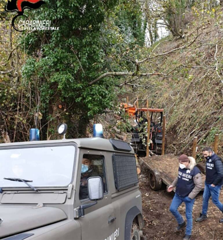 Valle disboscata, 5 fermati in area protetta del Taburno: 300 i quintali di legna sequestrata