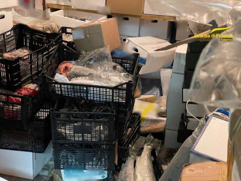 Angri, sequestrati oltre 55 quintali di prodotti ittici, tra congelati e surgelati, in cattivo stato di conservazione