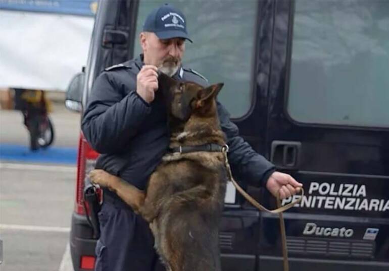 carcere di salerno droga