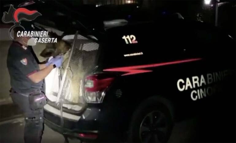 Pusher col reddito di cittadinanza. TUTTI GLI INDAGATI