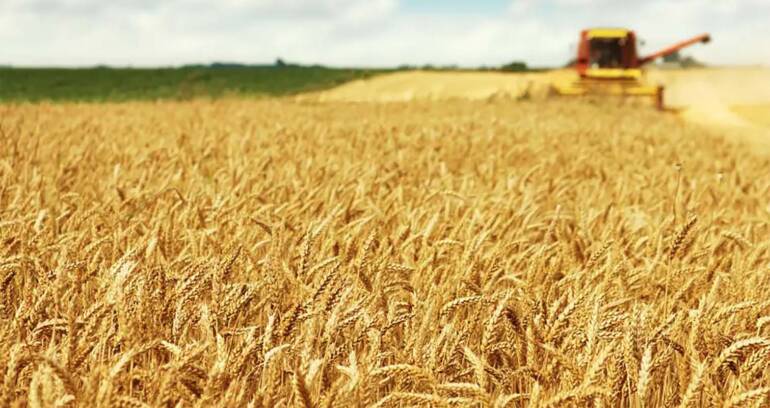 coldiretti sos clima