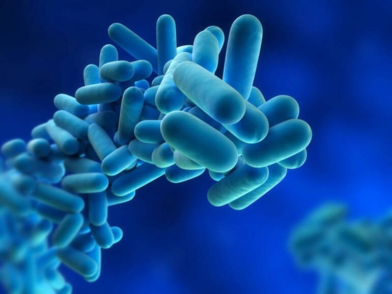 Legionella, 61 siti ispezionati da Arpac in Campania