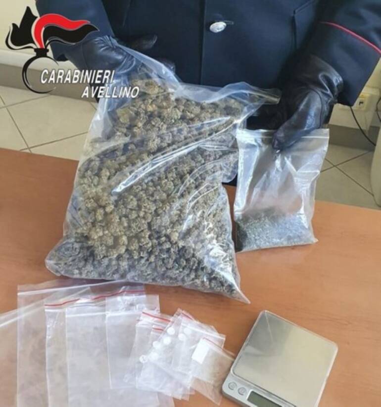 Nasconde marijuana nella vernice, cane antidroga la smaschera