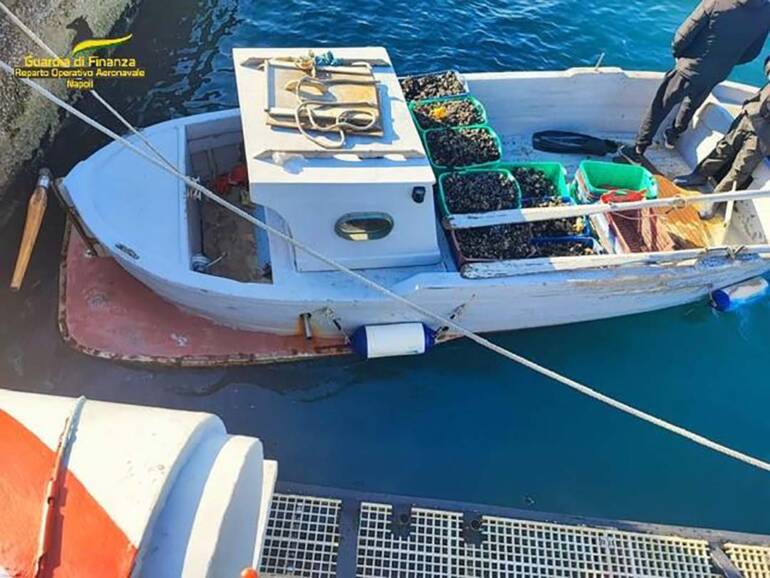 sequestrati 400 chilogrammi di mitili
