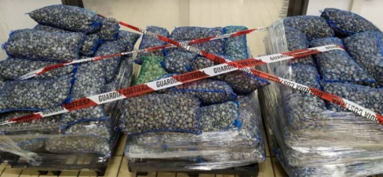 Pesca illegale con draga sotto costa: sanzionati due motopesche dalla Guardia Costiera a Mondragone