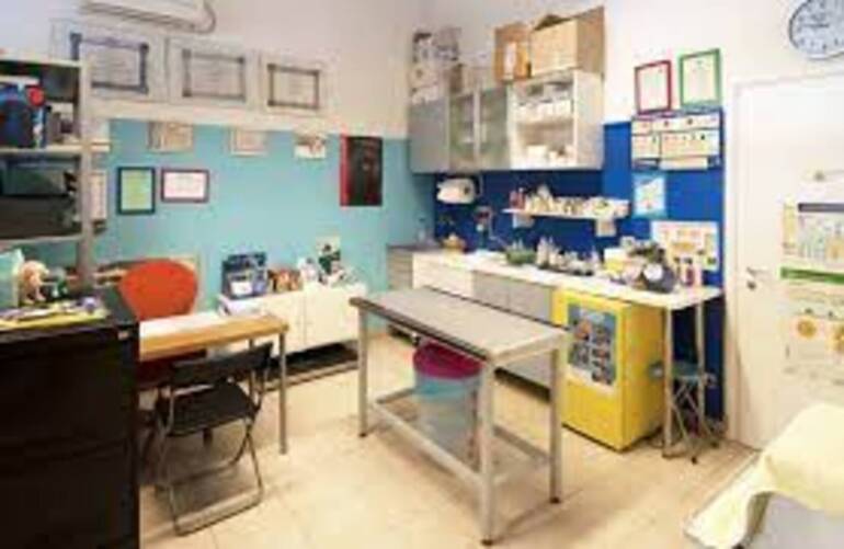 Controlli Nas in tutta Italia: chiusi 10 ambulatori veterinari e 178 sanzioni