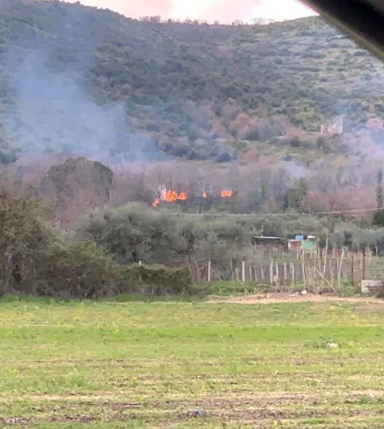 falciano del massico