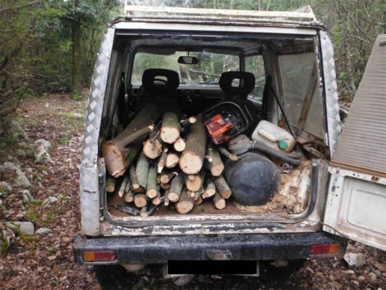 Caserta: distrugge vasta area di un bosco e carica un quintale di legna sul Suv