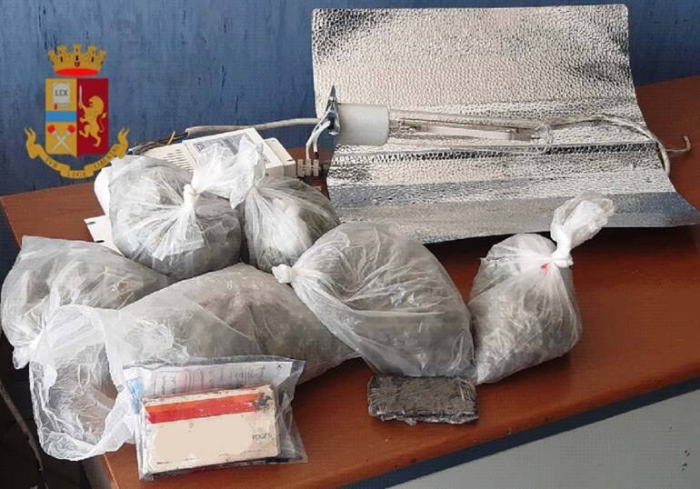 Napoli, scoperta serra artificiale di marijuana nel Bronx