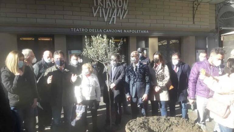 Napoli, in piazza Calenda vandalizzato l’ulivo dedicato a Maikol Giuseppe Russo, vittima innocente di camorra