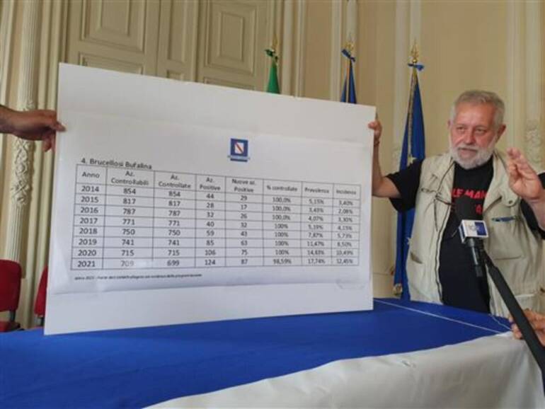 Brucellosi nel Casertano: Fabbris annuncia sciopero della fame a Roma