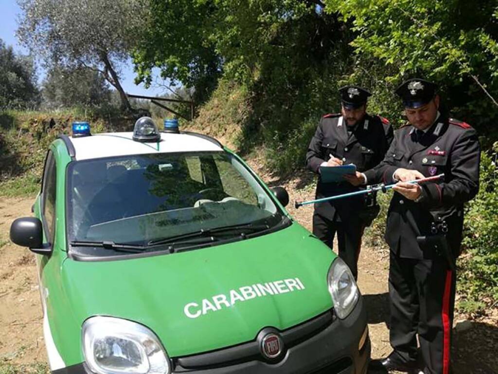 Ariano Irpino, distrutti 4mila mq di bosco, sequestro area e due denunciati