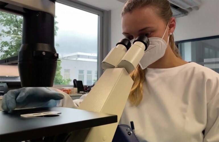Vaiolo delle scimmie, isolato il virus responsabile dell’epidemia