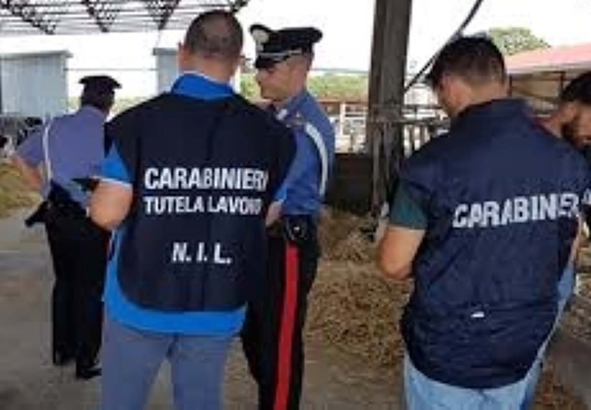 controlli caserta aziende agricole