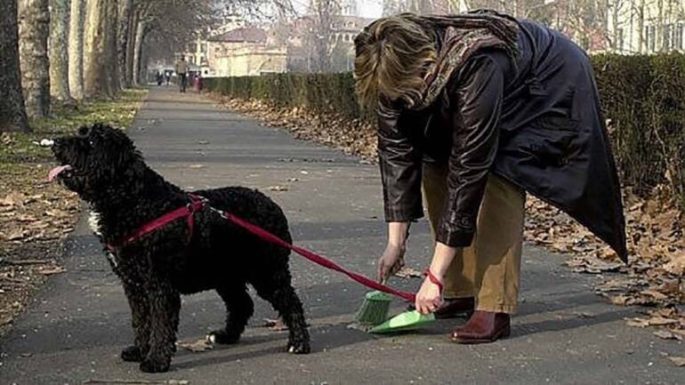 Costiera Amalfitana, prova del Dna per i cani che sporcano