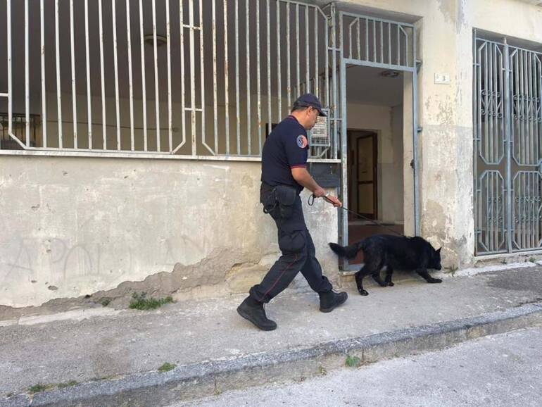 Castellammare, controlli antidroga nel centro antico