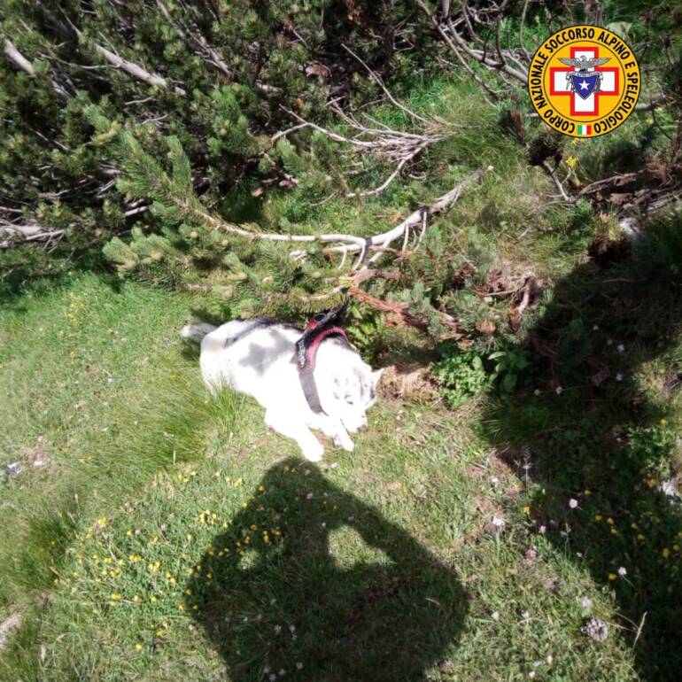 Ritrovato escursionista disperso nel Salernitano: Sos lanciato dal cellulare