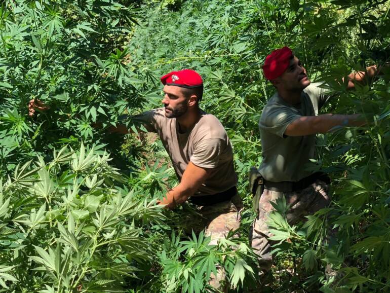 Abusivismo e droga tra Agerola e Gragnano: intera famiglia denunciata