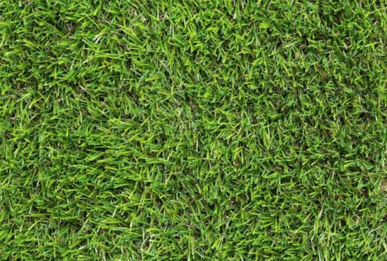 Creare delle aiuole in giardino: come fare, cosa occorre e quali piante