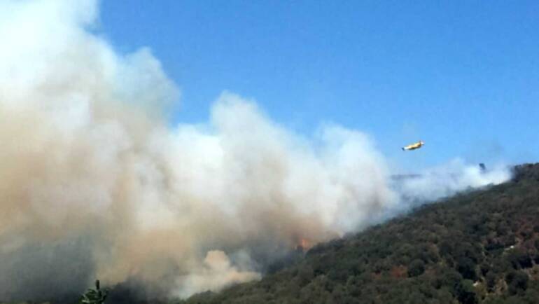 Napoli, incendio Oasi degli Astroni: rinviati a giudizio i presunti responsabili