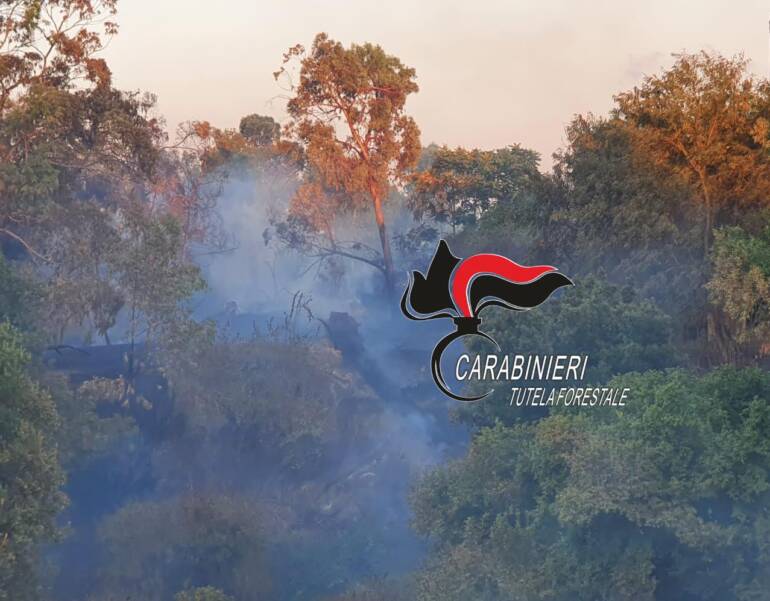 Incendio distrugge 3 ettari di bosco nel Parco Regionale del Partenio