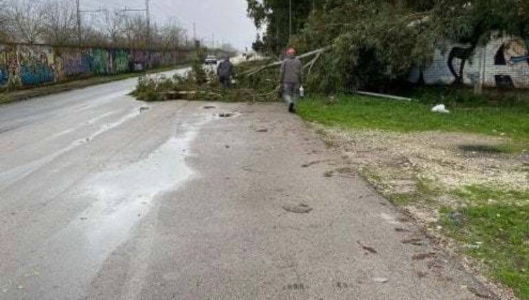 Maltempo, strade come torrenti e alberi caduti a Caserta