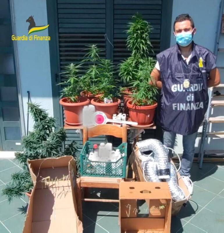 Serra casalinga di marijuana a Baronissi: denunciato 44enne