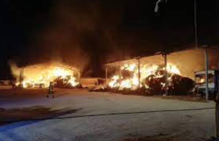 A Marcianise incendio distrugge azienda bufalina: aperta un’inchiesta