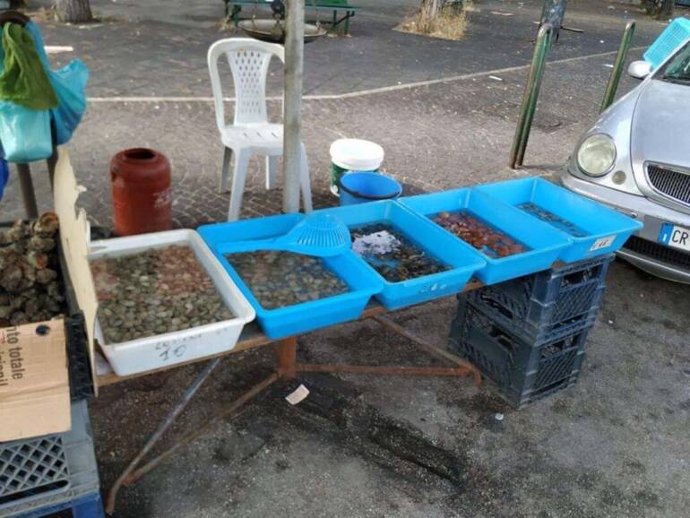 Epatite A, 133 casi in Campania: scattano controlli rafforzati sulla filiera dei molluschi