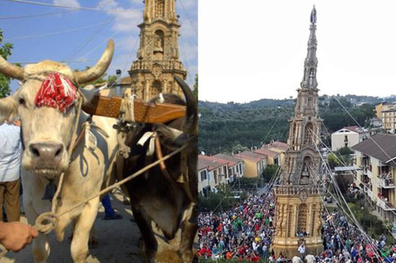 Buoi costretti a tirare un obelisco ligneo di 25 metri per 5 ore alla festa del paese