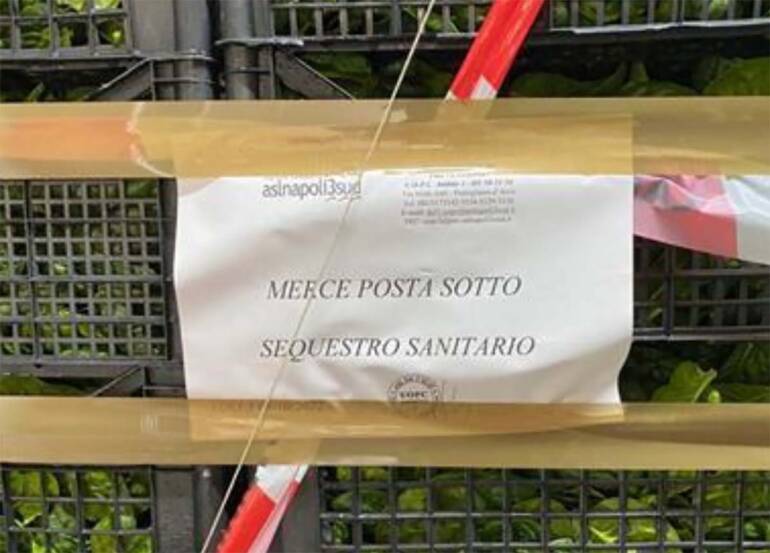 Verdure avvelenate, confermata l’origine vegetale: tracce di stramonio negli spinaci