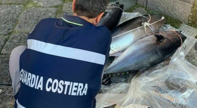 Portici, sequestrati tre esemplari di tonno rosso
