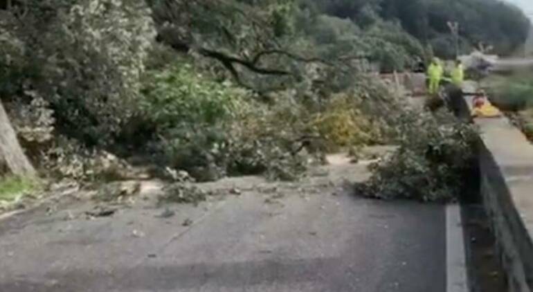 Maltempo: albero crolla su statale ‘Amalfitana’, strada chiusa