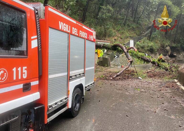 Albero caduto sui binari: interrotta la Circumflegrea