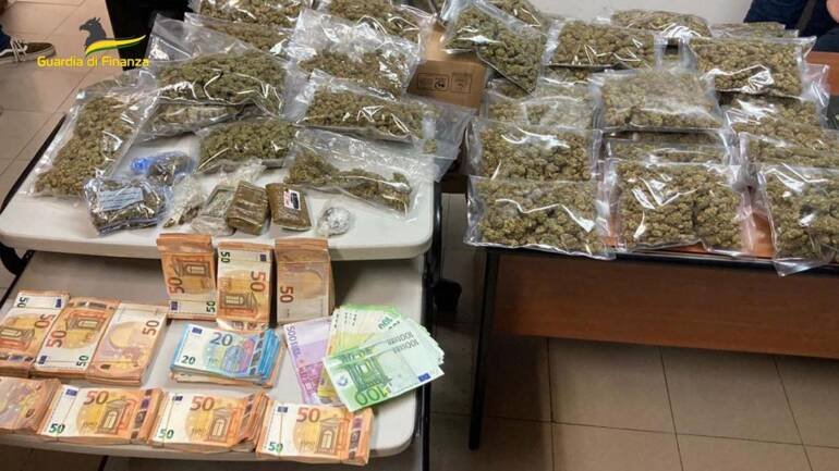 Colpo ai narcos di Napoli Nord: sequestrate 378 piante di cannabis per 5 milioni di euro. Il video